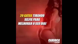 As melhores gatas safadas malhando