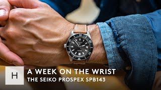 The Seiko Prospex SPB143 An Elevated Diver With Heritage Inspiration  A Week On The Wrist