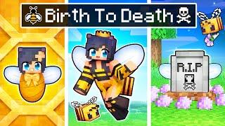 The BIRTH to DEATH of a Minecraft Bee