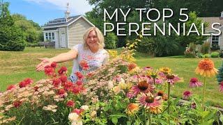 My Top 5 Longest Blooming Perennials for Sun and a BONUS Perrenials