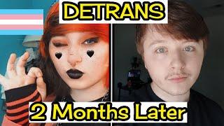 My 2-Month Detransition What’s Changed?