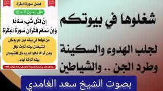 سورة البقرة شغلوها في بيوتكم لجلب الهدوء والسكينة وطرد الجن والشياطين بصوت الشيخ سعد الغامدي