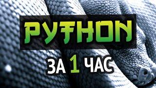 Учим Python за 1 час #ОтПрофессионала  HD Remake