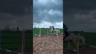 Riding no handed #showjumper #horserider #stallion #equestrian #horseriding #horse #pony #rider