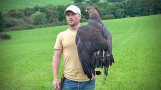 Golden Eagle  Training SAKO