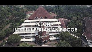 PESONA INSTITUT PERTANIAN BOGOR