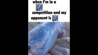 when im in a blue lobster competition and my opponent is blue lobster