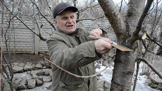 Это должен знать каждый садовод. Кербовка деревьев