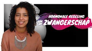 Hormonale regulatie van de zwangerschap HAVOVWO