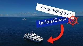 An amazing day on ReefQuest