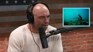 How These Human Evolved to Become “Sea Nomads”  Joe Rogan