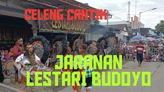 KELUAR NYA CELENG CANTIK ‼️JARANAN LESTARI BUDOYODI DESA SAMBI #jaranan #jaranindonesia #celeng