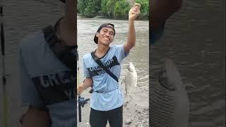 Mancing tawes Dapat babon