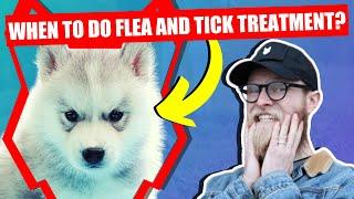 WHEN SHOULD I FLEA AND TICK MY SIBERIAN HUSKY PUPPY