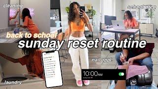 Back to School Sunday Reset Vlog  appointments cleaning homework