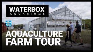 Farm-Raised Corals and Marine Fish  Lets Tour the ORA® Aquaculture Facility