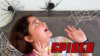 Odamda Örümcek Var
