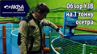 Обзор системы УЗВ на 19 кубов 1 тонну осетра