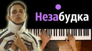 Тима Белорусских - Незабудка ● караоке  PIANO_KARAOKE ● + НОТЫ & MIDI
