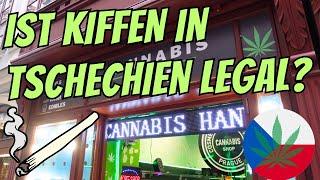 Cannabis in Tschechien legal oder nicht?  LandesEcho vor Ort