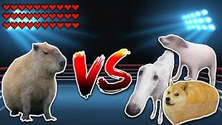 Giant Capybara vs All Dogs Meme battle