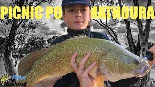 Picnic Point Mathoura  Murray Cod PB