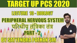 UPPSC  2020  BIOLOGY  Peripheral Nervous System 2 परिधीय तंत्रिका तंत्र  UPPCS 2020 PREPARATION