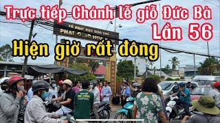 Trực tiếp lễ giỗ Đức Bà ngày chánh lễ 264rất đông rất đặc biệt