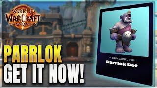 TWW How to Get Parrlok Battle Pet - Discord Quest