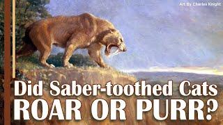 Did Saber-toothed Cats Roar or Purr?