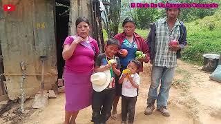 Vendiendo Chayotitos en el Pueblo Mi Experiencia y regalando una sonrisa a una familia