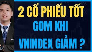 2 cổ phiếu tốt gom khi chứng khoán giảm