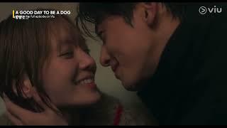 Cha Eun Woo and Park Gyu Youngs Legendary Kiss  A Good Day to be a Dog TagDub EP 16  Viu