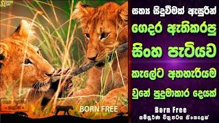 Born Free සම්පූර්ණ කතාව සිංහලෙන්  බෝන් ෆ්‍රී Sinhala Film Review  Born Free Movie සිංහලෙන්