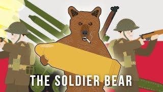 The Soldier Bear Strange Stories of World War II