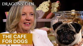 Social Events For Dogs And Their Owners  Dragons Den