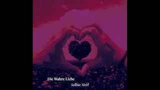 Selina Steel  -  Die Wahre Liebe Guitar Solo  prod. by AnakwanarTV