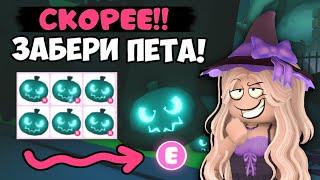 НОВАЯ ОБНОВА УСПЕЙ ЗАБРАТЬ ЭТОГО ПЕТА В АДОПТ МИ НА ХЭЛЛОУИН 2023 NEW UPDATE ADOPT ME ROBLOX