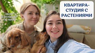 В ГОСТЯХ у Ксении  обзор РАСТЕНИЙ в уютной ПЕТЕРБУРГСКОЙ квартире