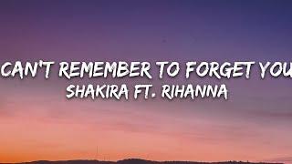 Shakira - Cant Remember to Forget You Lyrics ft. Rihanna