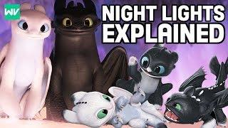 Who Are Toothless & The Light Furys Children? Night Lights  How To Train Your Dragon