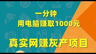 灰产项目  网络赚钱  网赚 毫无风险，教你五分钟就可以赚到3000。灰产跑分跑货真实演示（真实测试网站）