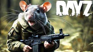 DayZ Solo RAT is wandering on his territory Official Server #dayz