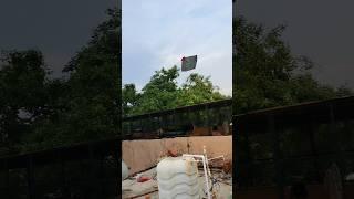 patang chali gayi bahar ।। #shorts #kitecaching #kitelooting #kiteflying #kite #patang #viral