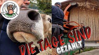 FarmVLOG#258 - Die Tage sind gezählt