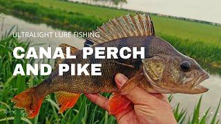 Ultralight Lure Fishing - Canal Perch and Pike