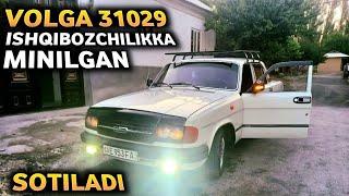 Volga 31029 zo‘ri chiqdi sotiladi Ishqibozchilikka minilgan aravasi xam bor