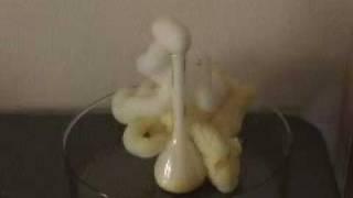 reaction of POTASSIUM IODIDE & HYDROGEN PEROXIDE  elephant toothpaste