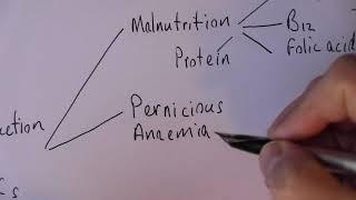 Anaemia 1 Types and causes of anaemia