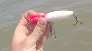 Bluefish on poppers delaware bay shoreline May 2015